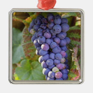 Adorno Metálico Un racimo de uvas Pinot Noir en un Chambertin