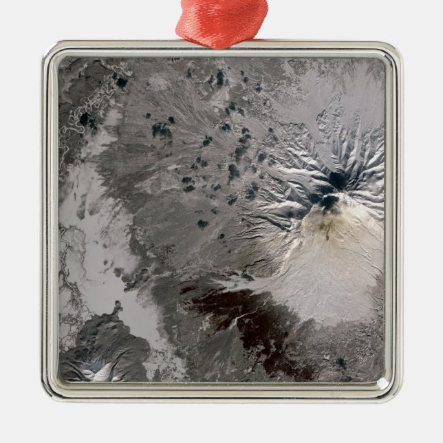 Adorno Metálico Una ceniza rica en penacho (Frente)