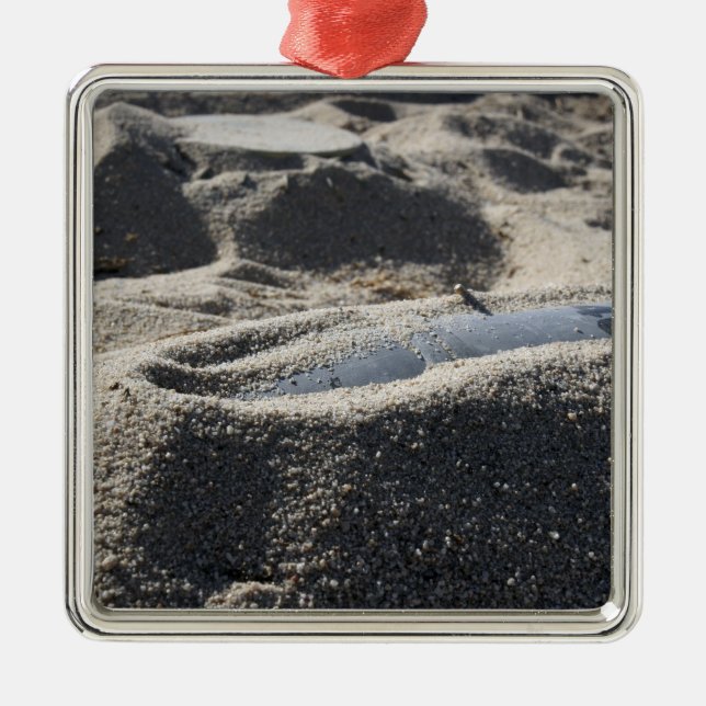 Adorno Metálico Una exhibición estática de una concha de artefacto (Frente)