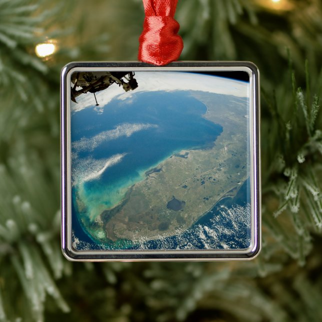 Adorno Metálico Una Florida Oblíque, En La Costa Sureste (Árbol)