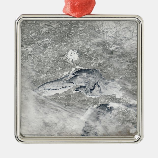 Adorno Metálico Una manta de hielo relativamente rara (Frente)