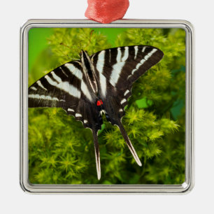 Adorno Metálico Una mariposa cola de golondrina norteamericana