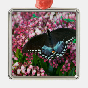 Adorno Metálico Una Mariposa de Azufre En La Familia Phoebis