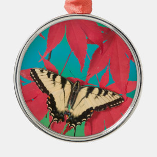 Adorno Metálico Una mariposa de cola cruda de tigre canadiense