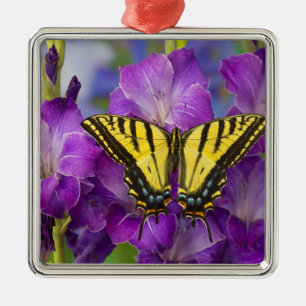 Adorno Metálico Una Mariposa Monarca en Gladiolos Purpuras