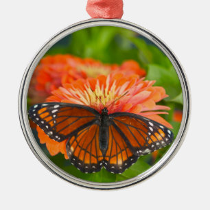 Adorno Metálico Una Mariposa Monarca en Zinnias Naranjas