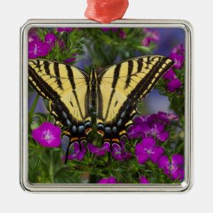 Adorno Metálico Una mariposa vicerrey sobre flores rosa oscuro