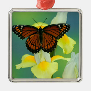 Adorno Metálico Una mariposa virrey en un lirio japonés amarillo
