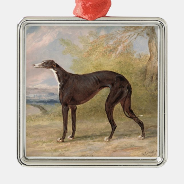 Adorno Metálico Uno de los Greyhounds ganadores de George Lane Fox (Frente)