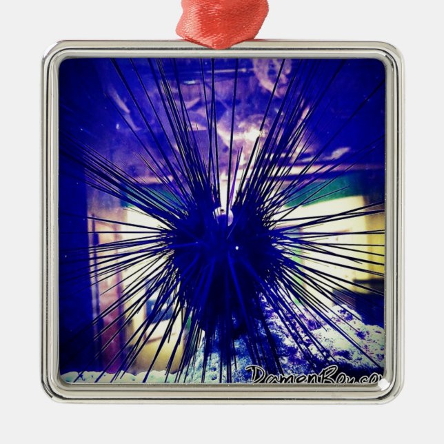 Adorno Metálico Urchin de Longspine Negro (Frente)