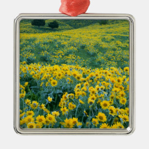 Adorno Metálico UTAH. EE.UU. Balsamroot de hojas de arrowleaf Bals