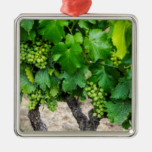 Adorno Metálico Uvas para vino en crecimiento, Francia
