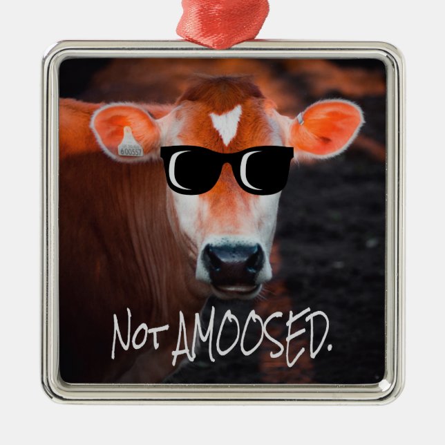 Adorno Metálico Vaca con gafas de sol no es gracioso para MOO (Frente)