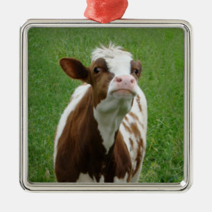 Adorno Metálico Vaca lechera en la granja