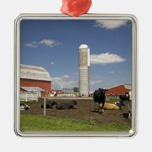 Adorno Metálico Vacas delante de un granero y de un silo rojos en