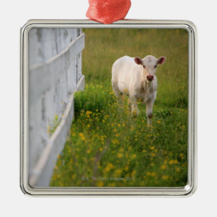 Adorno Metálico Vacas en el campo