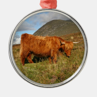 Adorno Metálico Vacas escocesas de la montaña - Escocia