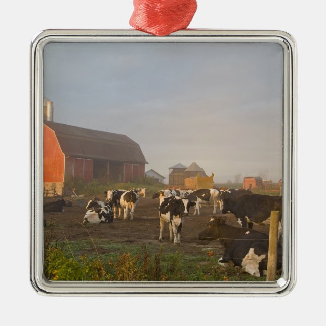 Adorno Metálico Vacas lecheras Holstein afuera del granero al aman (Frente)