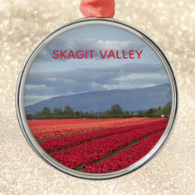 Valle de Skagit Washington Estado Gorge Tulipán 