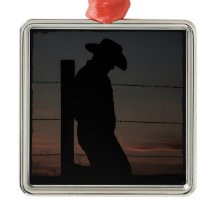 Vaquero al atardecer