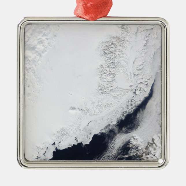 Adorno Metálico Varios tipos de hielo marino (Frente)