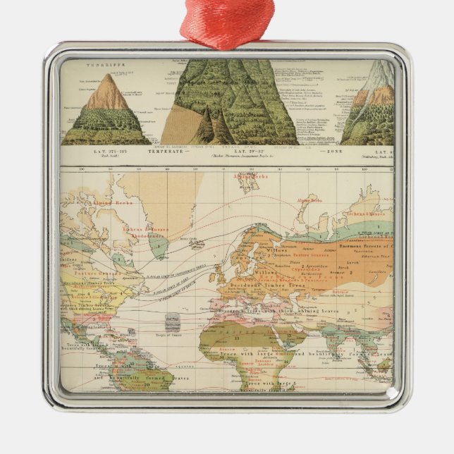 Adorno Metálico Vegetación de la distribución (Frente)