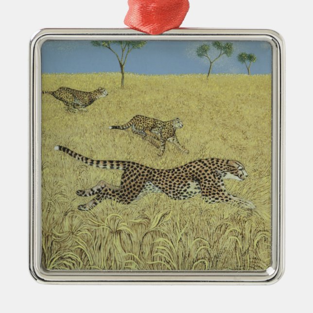 Adorno Metálico Velocidad escarpada (Frente)