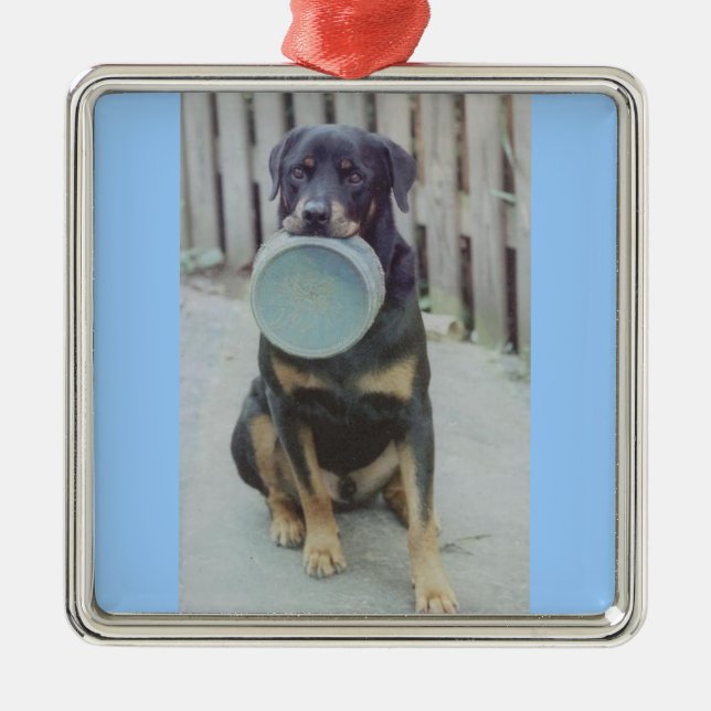 Adorno Metálico Vern (Frente)