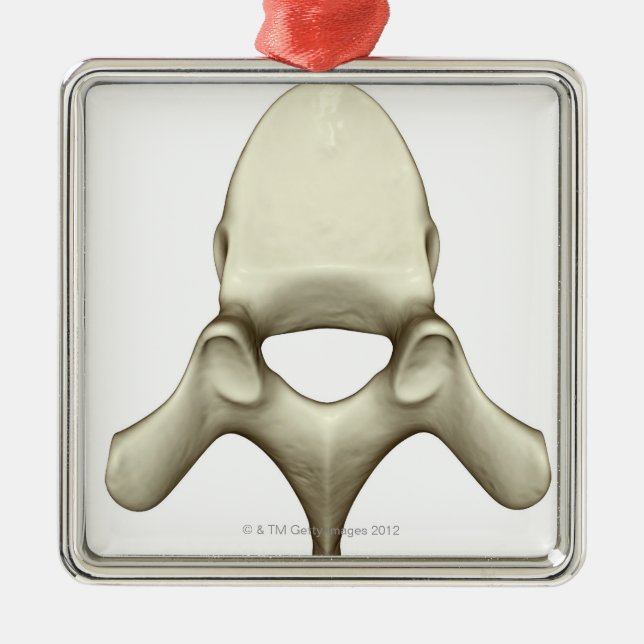 Adorno Metálico Vertebrae (Frente)
