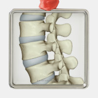 Vértebras lumbares