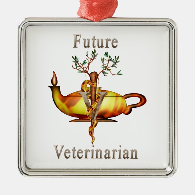 Adorno Metálico Veterinario futuro (Frente)