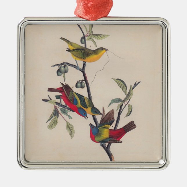 Adorno Metálico Vida silvestre de las aves de Bunting de Audubon (Frente)