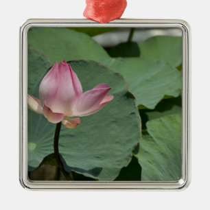 Adorno Metálico Vietnam, cerca de Saigón) My Tho. Vinh Trang 2