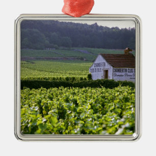 Adorno Metálico viñedo Chambertin Clos de Beze Grand Cru con