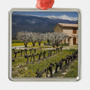 Adorno Metálico Viñedo inactivo, flor de fruta, casa de piedra,
