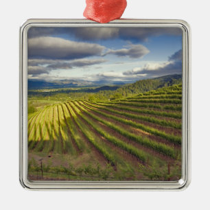 Adorno Metálico Viñedo. Napa Valley. Napa. Condado de Napa,
