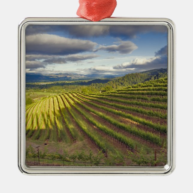 Adorno Metálico Viñedo. Valle de Napa. Napa. Condado de Napa (Frente)