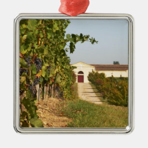 Adorno Metálico Viñedos, vides de petit verdot y la bodega en