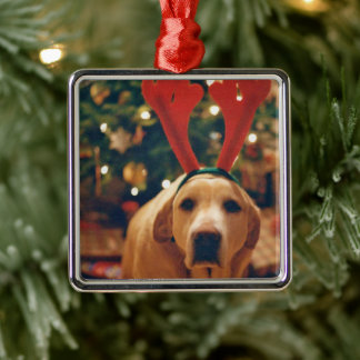 Adorno Metálico Vintage Christmas Yellow Lab Dog
