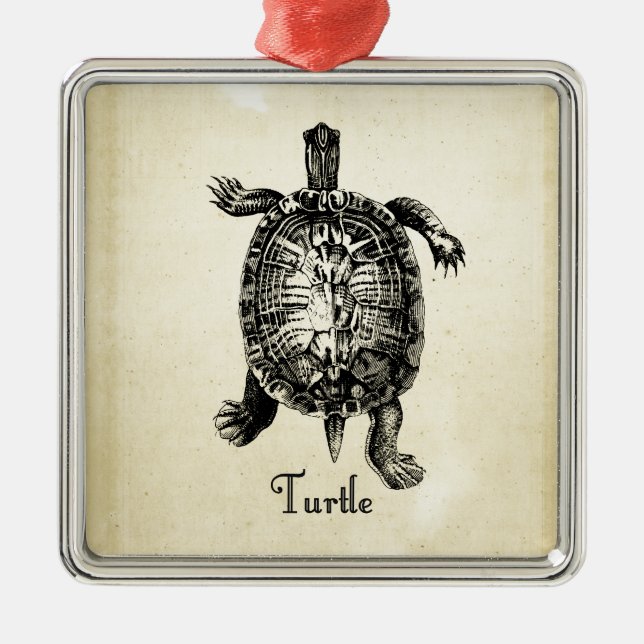 ADORNO METÁLICO VINTAGE TURTLE (Frente)