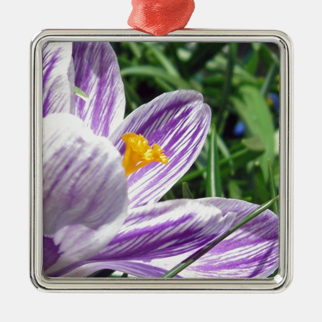 Adorno Metálico Violet Spring Crocus (Frente)