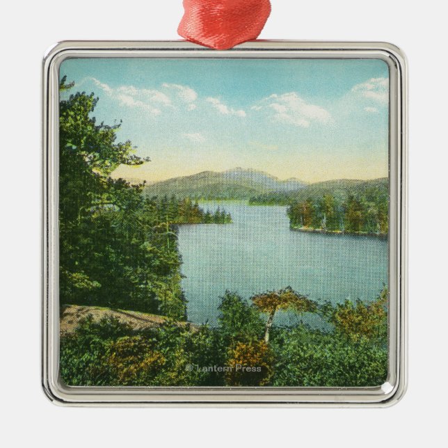 Adorno Metálico Vista de un lago más bajo Saranac de la isla del (Frente)