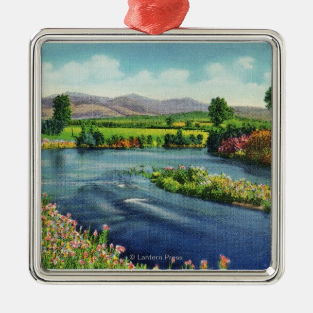 Adorno Metálico Vista del río Israel y la banda presidencial (Frente)