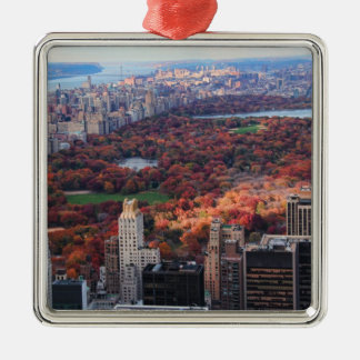 Adorno Metálico Vista desde arriba: Otoño en Central Park 01
