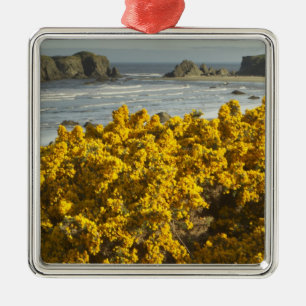 Adorno Metálico Vistas costeras, Bandon, Oregón