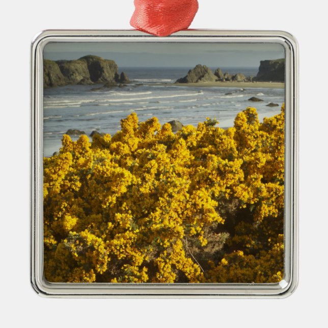 Adorno Metálico Vistas costeras, Bandon, Oregón (Frente)