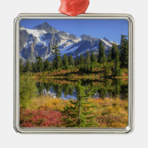 Adorno Metálico WA, Área Recreativa Heather Meadows, Mt. 2