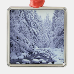 Adorno Metálico WA, Bosque Nacional Monte Baker-Snoqualmie,