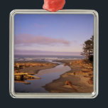 Adorno Metálico WA, Olympic NP, Kalaloch Beach y Kalaloch<br><div class="desc">DERECHOS DE AUTOR Jamie y Judy Wild / DanitaDelimont.com| US48 JWI1316.jpg| WA,  Olympic NP,  Kalaloch Beach y Kalaloch Creek</div>