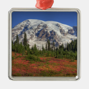 Adorno Metálico WA, Parque Nacional Mt. Rainier, Paradise Valley